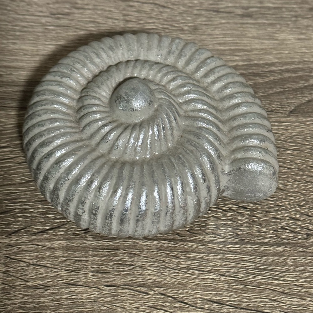 NEW Ammonite Ceramic Paperweight Ornament Accent Desk Accessory